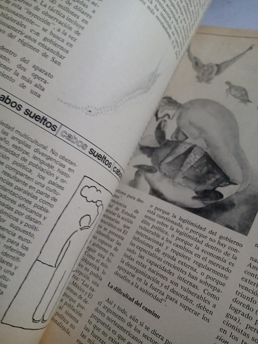 Imagen 2 de 5 de Revista Nexos Mayo 1981 Chomsky Monsiváis Y Más