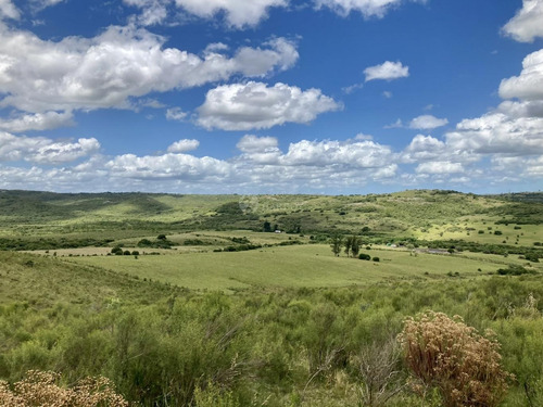 Imagen 2 de 21 de Venta Chacra Sierra Ruta 39 Aigua Sierra De Los Caracoles Maldonado