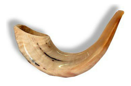 Shofar Kosher Rams Horn Instrumento Natural Shoffar Shophar 