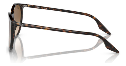 Lentes De Sol Havana Ray-ban Rb220490251