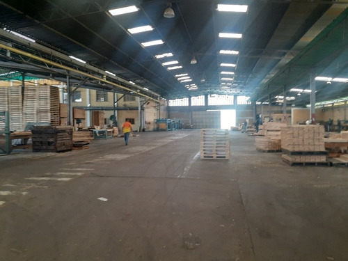 Imagen 17 de 25 de Galpon En Venta Guacara Zona Industrial El Nepe Jc