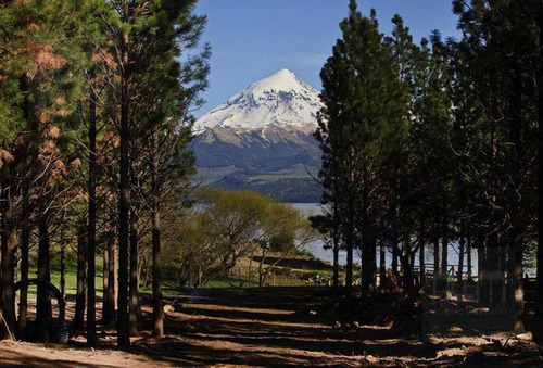 Imagen 11 de 14 de Barrio Quillehue | Junin De Los Andes