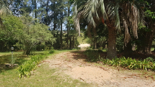 Chacra En Punta Ballena - Punta Ballena- Ref: 4168