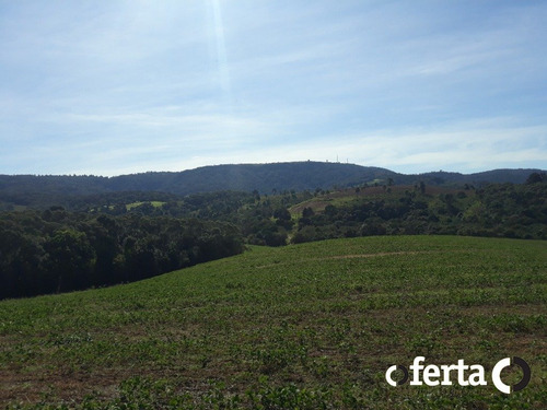 Imagem 7 de 15 de Chacara - Bugre - Ref: 773 - V-773
