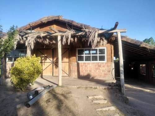 Imagen 3 de 14 de Finca Con Propiedad.