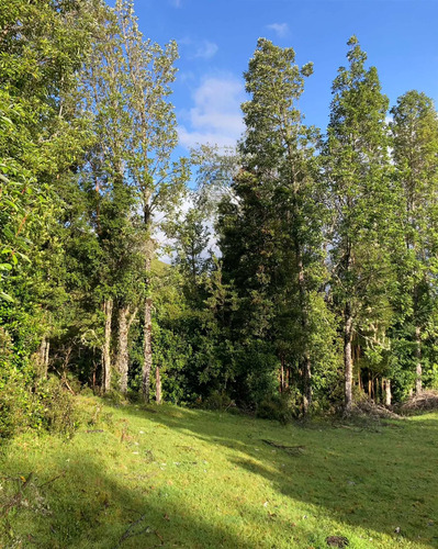 Queilen, 2,8 Ha, Apeche Bajo (121069)