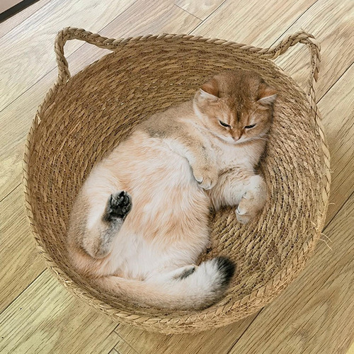Cesta De Cama Para Gatos, Alfombrilla Para Rascar 35cmx13cm