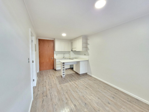 1101 - San Javier N°1020, Ed. Alto Pelluco, Dept. 217