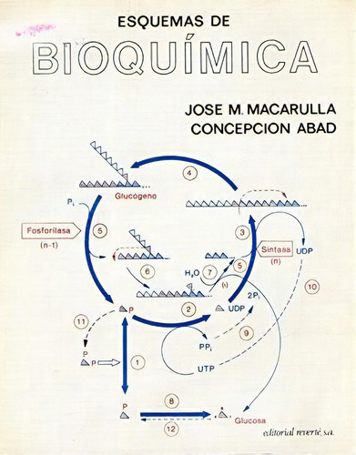 Esquemas De Bioquímica: (segunda Edición), De Varios Autores. 8429173376, Vol. 1. Editorial Editorial Eurolibros, Tapa Blanda, Edición 1982 En Español, 1982