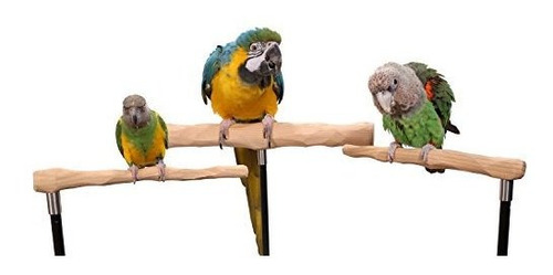 Kit De Entrenamiento Para Loros Con Percha