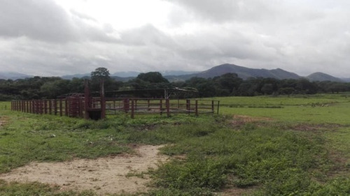 Imagen 1 de 13 de Finca En Montalbán Carabobo Fot-246