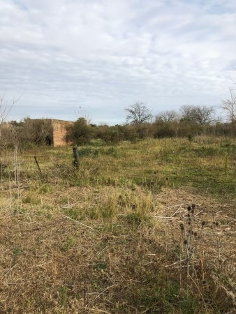 Imagen 6 de 6 de Lote De 20 X 28 Con Escritura En Lezica Y Torrezuri