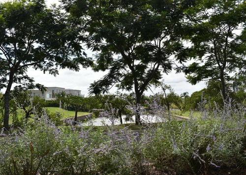 Imagen 7 de 12 de Terreno En Venta Ubicado En El Yacht, Nordelta, Tigre