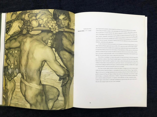 Imagen 5 de 8 de Libro Saturnino Herrán. Instante Subjetivo.