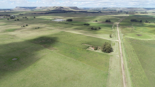 Imagen 10 de 30 de Quinta De 8 Has. A 1.800 Mts Ruta 226 - 100 % Agrícola