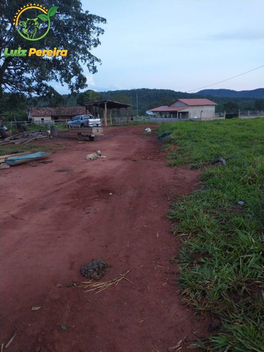 Imagem 15 de 15 de Fazenda À Venda Em Pindorama Do Tocantins - To-de 207 Alqueirões (pecuária) - 1693