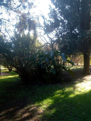 Imagen 6 de 11 de Quinta - Los Pozos