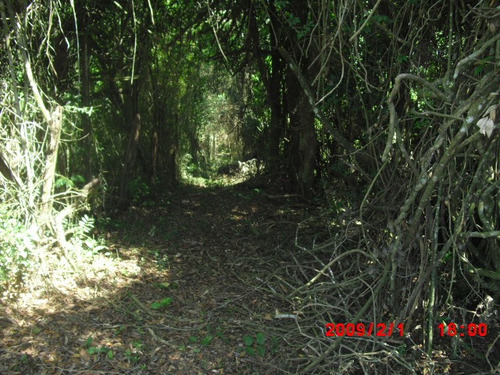 Imagem 9 de 12 de Terreno Ressaca 12000m2 Com Riacho