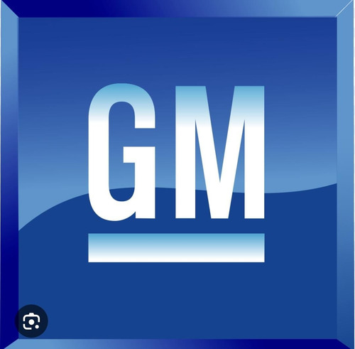 Amortiguador Delantero Derecho Gm 2019-2024 #84835364 (Usado)