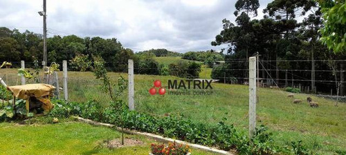 Espetacular Área À Venda, 240000 M² Por R$ 3.800.000 - Jardim Social - Campo Largo/pr - Ar0006