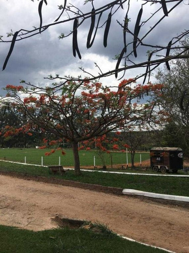 Ótimo Haras Com 41 Hectares Com 23 Baias 3.000,000,00 - 39282