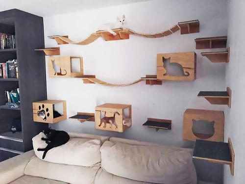 Imagem 1 de 5 de Kit Com 20 Peças Para Gatos