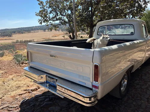 Ford F 100 1965