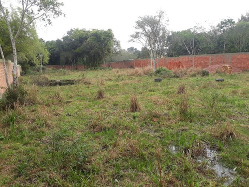 Imagem 4 de 7 de Terreno - Te00036 - 32893250