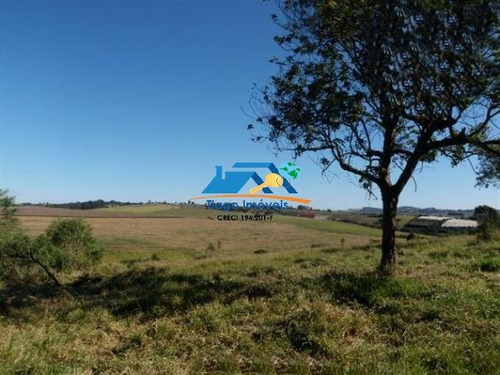 Imagem 8 de 13 de Lindo Sítio Á Venda Em Bragança Paulista! - 163