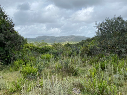 Chacra En Venta Sierras De Aiguá