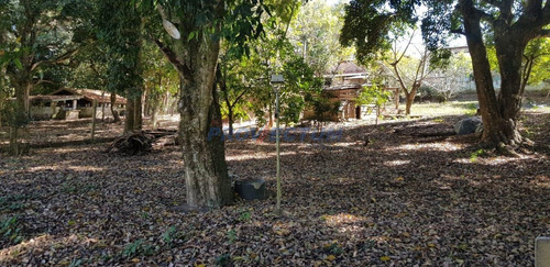 Chácara À Venda Em Tanquinho Velho - Ch249223