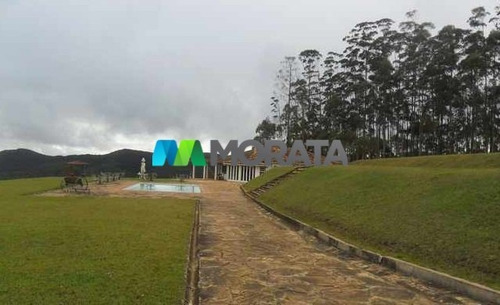Imagem 3 de 15 de Fazenda - Zona Rural - Ref: 2827 - V-mta2827