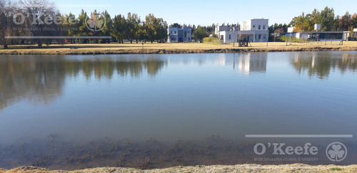 Imagen 9 de 15 de Excelente Lote En Miralagos Ii - Terreno De 1260m2- Con Fondo Laguna