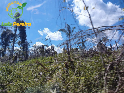 Imagem 3 de 15 de Fazenda À Venda Em Rondom - Pa - 11.000 Hectares (dupla Aptidão) - 1949