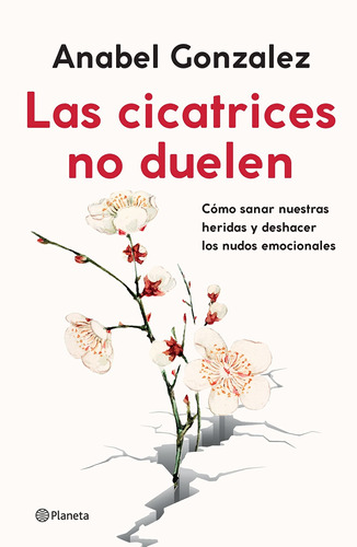 Libro: Las Cicatrices No Duelen - Anabel Gonzalez (español)