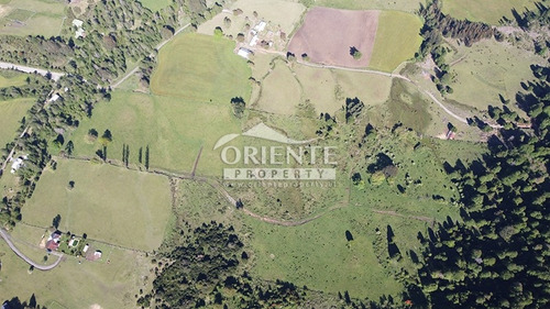 Vive En Un Paraíso Natural En Malalcahuello