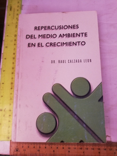 Raúl Calzada León Repercusiones Del Medio Ambiente