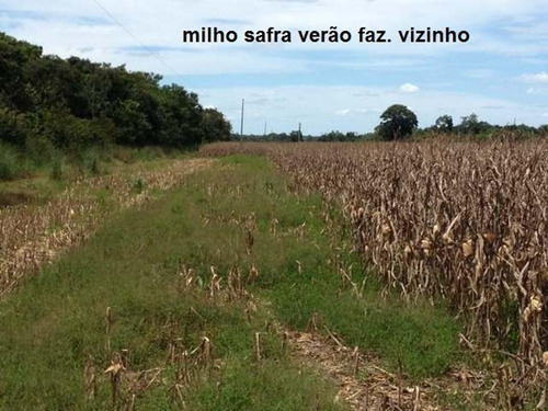 Imagem 21 de 30 de Fazenda À Venda, 430000 M² Por R$ 313.900.000,00 - Centro - Pium/to - Fa0047