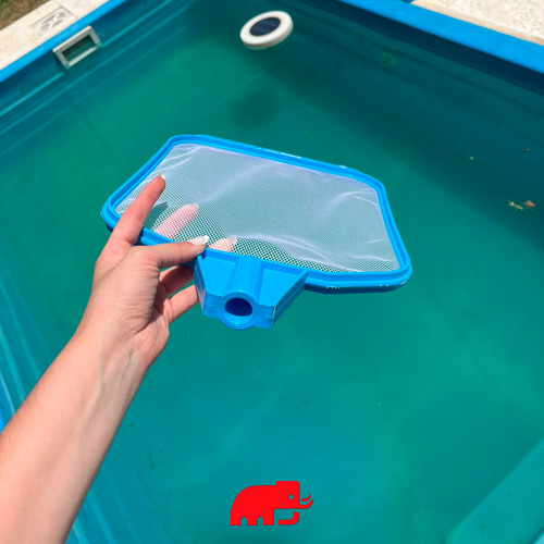 Saca Hojas Para Piletas Tejido Plastico Bichos Pelopincho