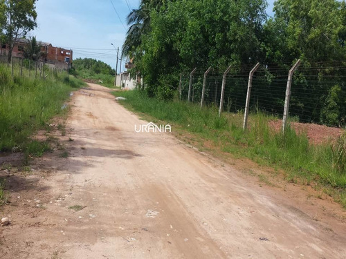 Terreno A Venda No Bairro Santa Paula Em Vila Velha - Es. - 294-1