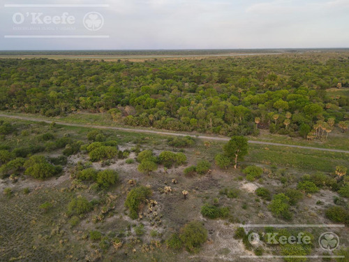 Campo En Venta 1217 Has En Villa Guillermina, Santa Fe.