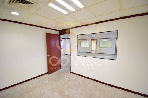 Oficina En Renta En Anzures 22c/3b/1e - Excelente Ubicación - 650m2