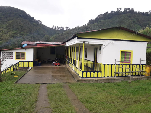 Se Vende Finca Cafetera Vda La Esmeralda Génova Quindío