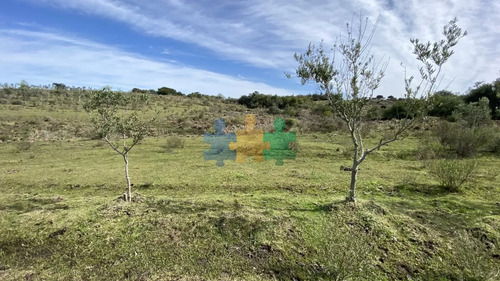 Oportunidad En Paraje Las Cañas !!! Chacra De 5 Hectareas - Ref : Eqp5523