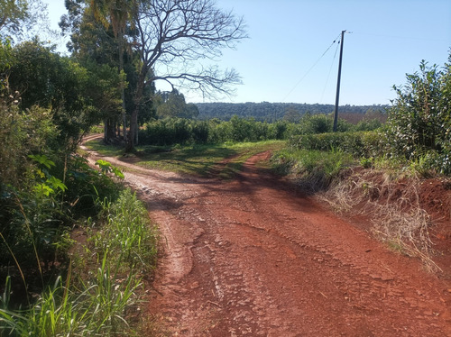 Vendo Chacra De 5,70 Hectareas De Te
