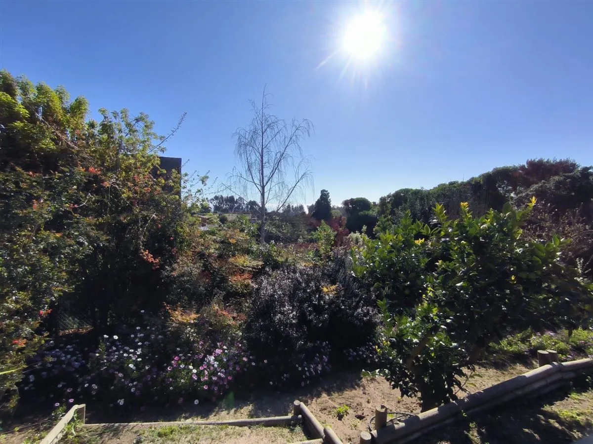 Imagen 2 de 17 de Dentro De Un Mágico Jardín- Maitencillo Sur