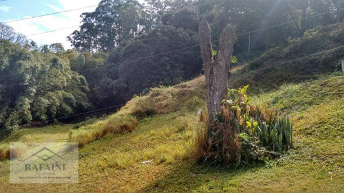 Imagem 11 de 12 de Área Comercial À Venda, Portal Dos Gramados, Guarulhos. - Ar0013