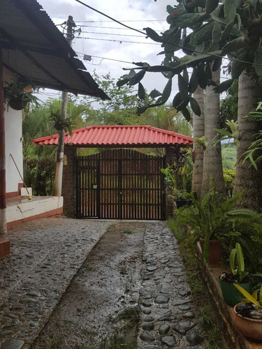 Imagen 5 de 12 de Venta De Finca En San Vicente De Dagua 601.