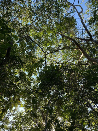 Hermoso Rancho A 4km De Tekit, Dentro Del Círculo De Cenotes