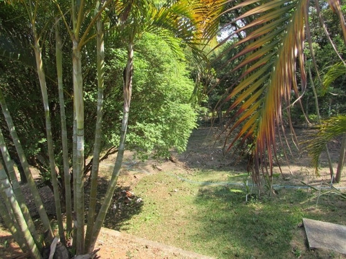 Currupira - 6848 Mts - 4 Suites - Permuta Com Apartamento. - 730080r